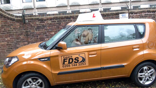 Fake Driving School - Louise Lee szereti a hatalmas kárót