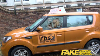 Fake Driving School  - análszex a verdában