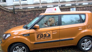 Fake Driving School a percerz viszgabiztos elcsábítja a faszit
