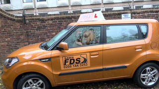 Fake Driving School a fekete srácnak nem sikerül a vizsga