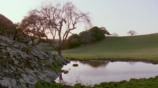 The Ribald Tales Of Canterbury (1985) - Teljes pornófilm
