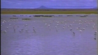 A vadon lánya (1997) - Szinkronos xxx videó
